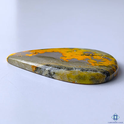 Bumble Bee Jasper