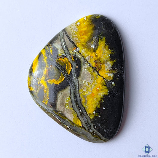 Bumble Bee Jasper