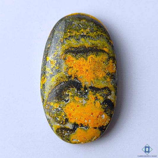 Bumble Bee Jasper