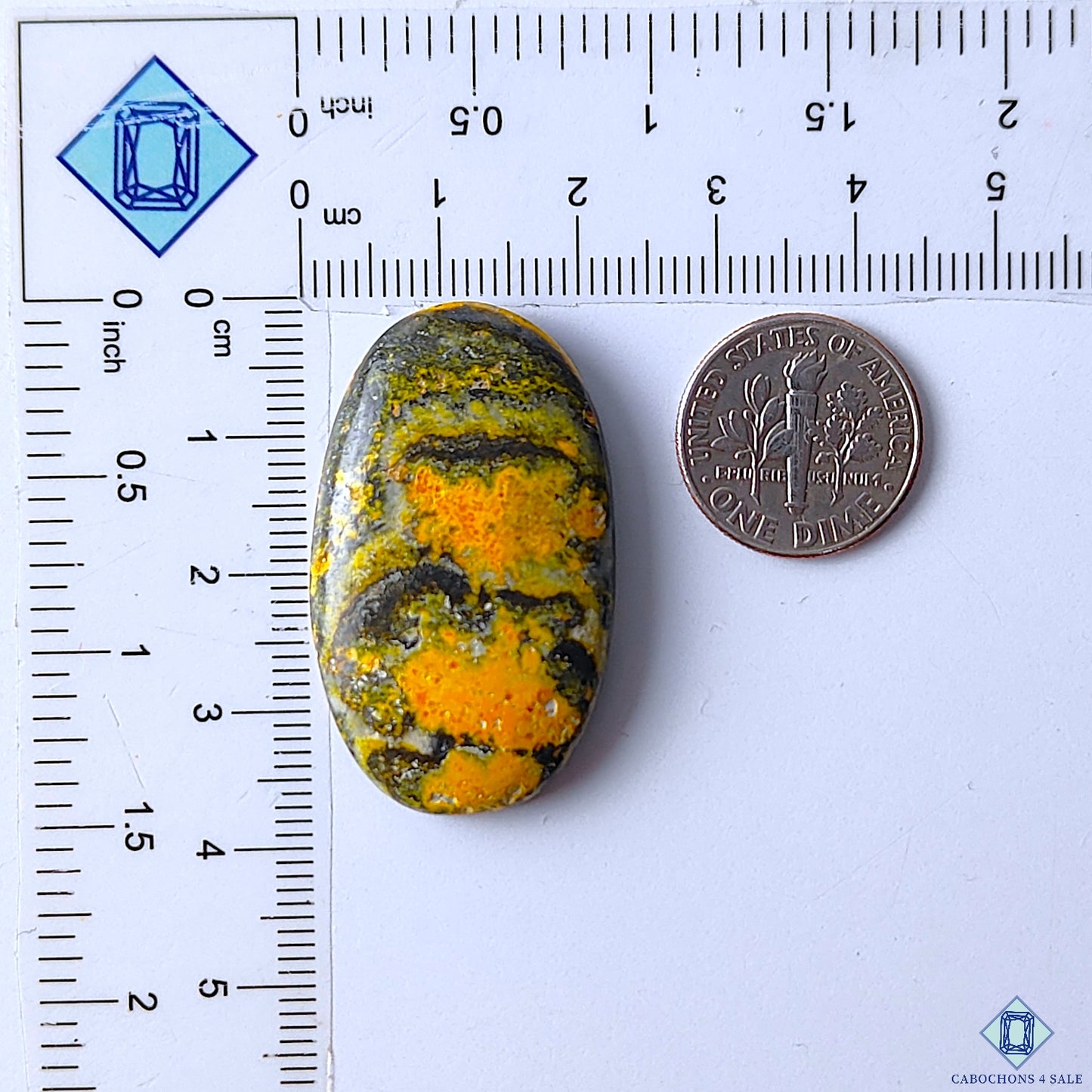 Bumble Bee Jasper