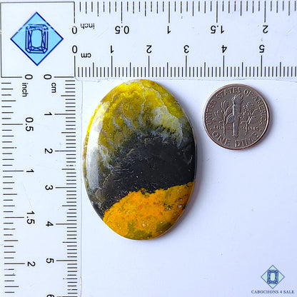 Bumble Bee Jasper