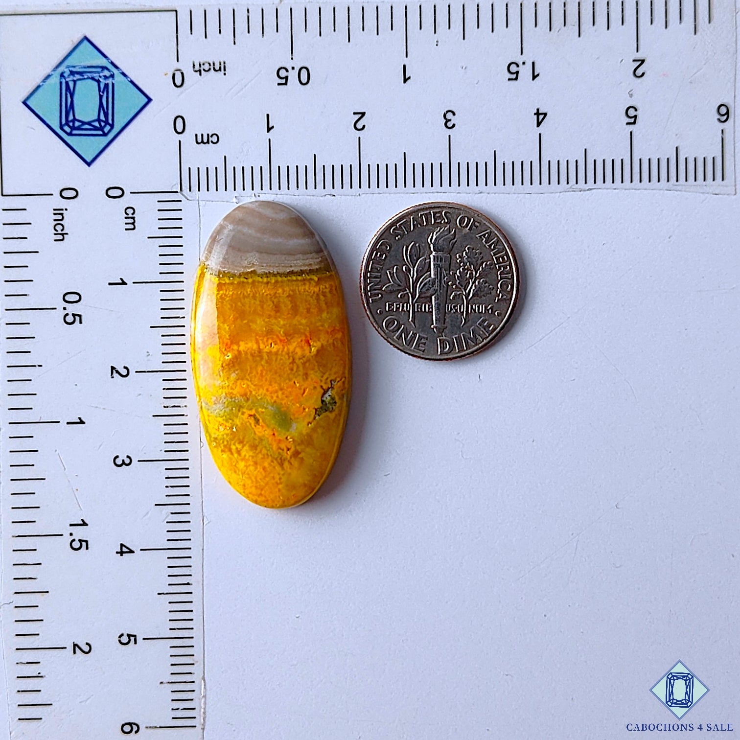 Bumble Bee Jasper