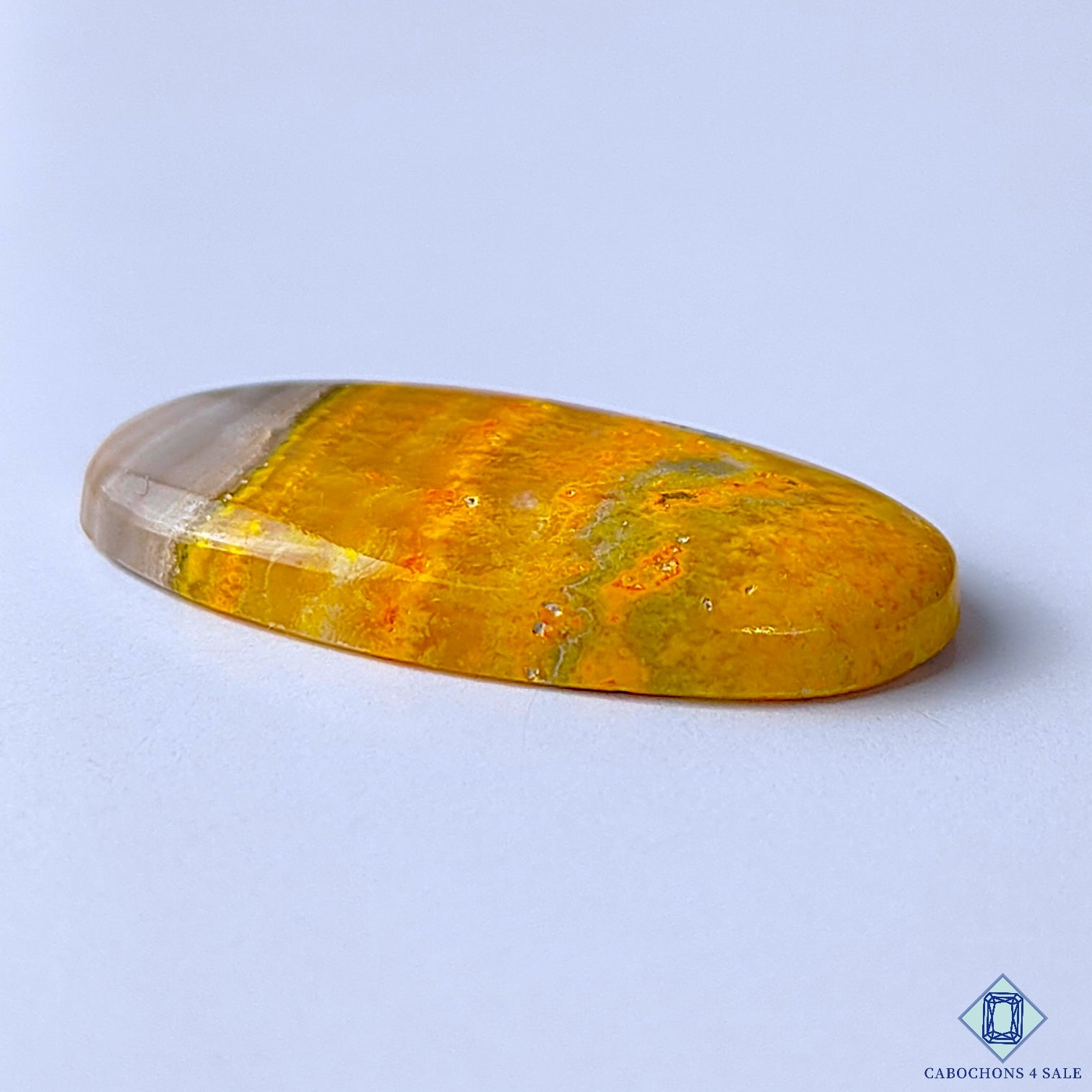 Bumble Bee Jasper