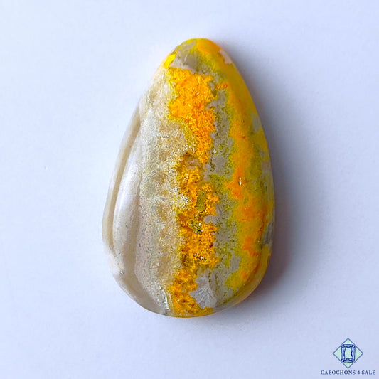 Bumble Bee Jasper