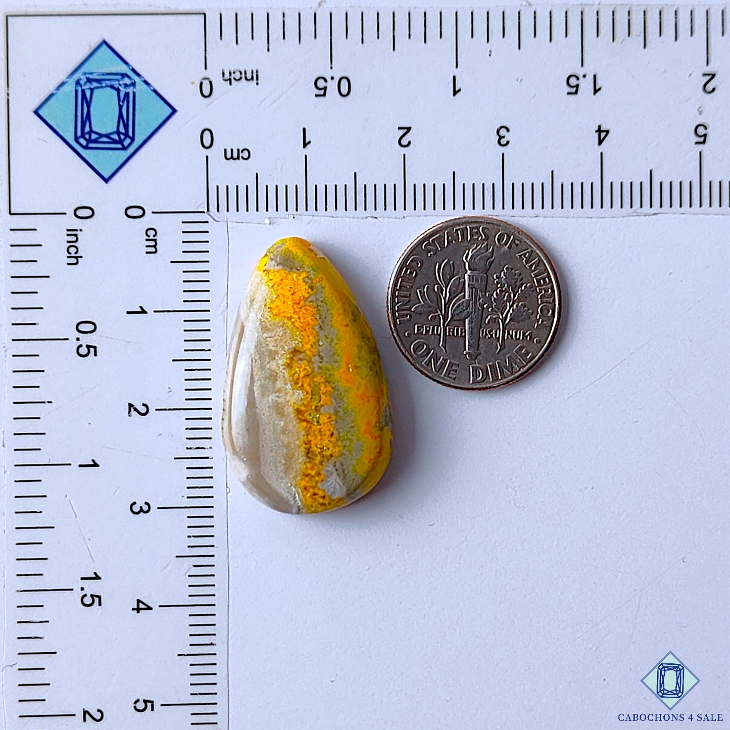 Bumble Bee Jasper