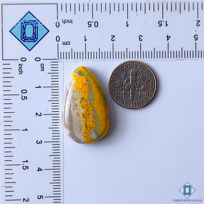 Bumble Bee Jasper