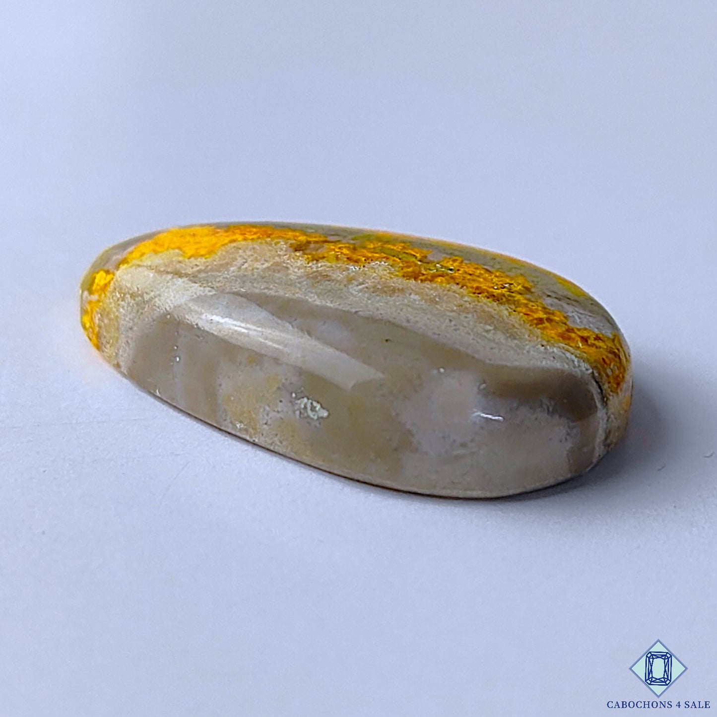 Bumble Bee Jasper