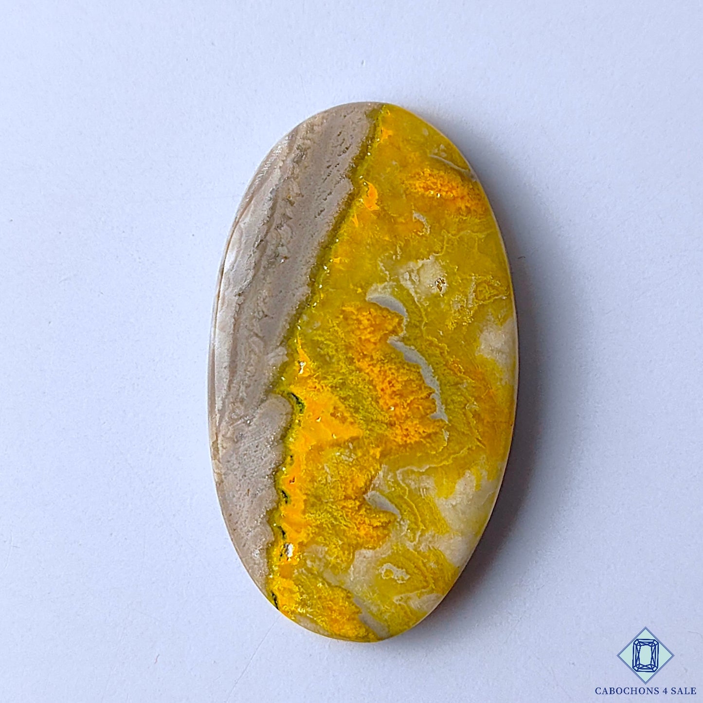 Bumble Bee Jasper