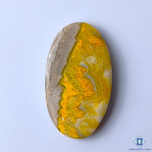 Bumble Bee Jasper