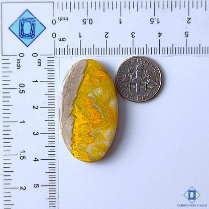 Bumble Bee Jasper