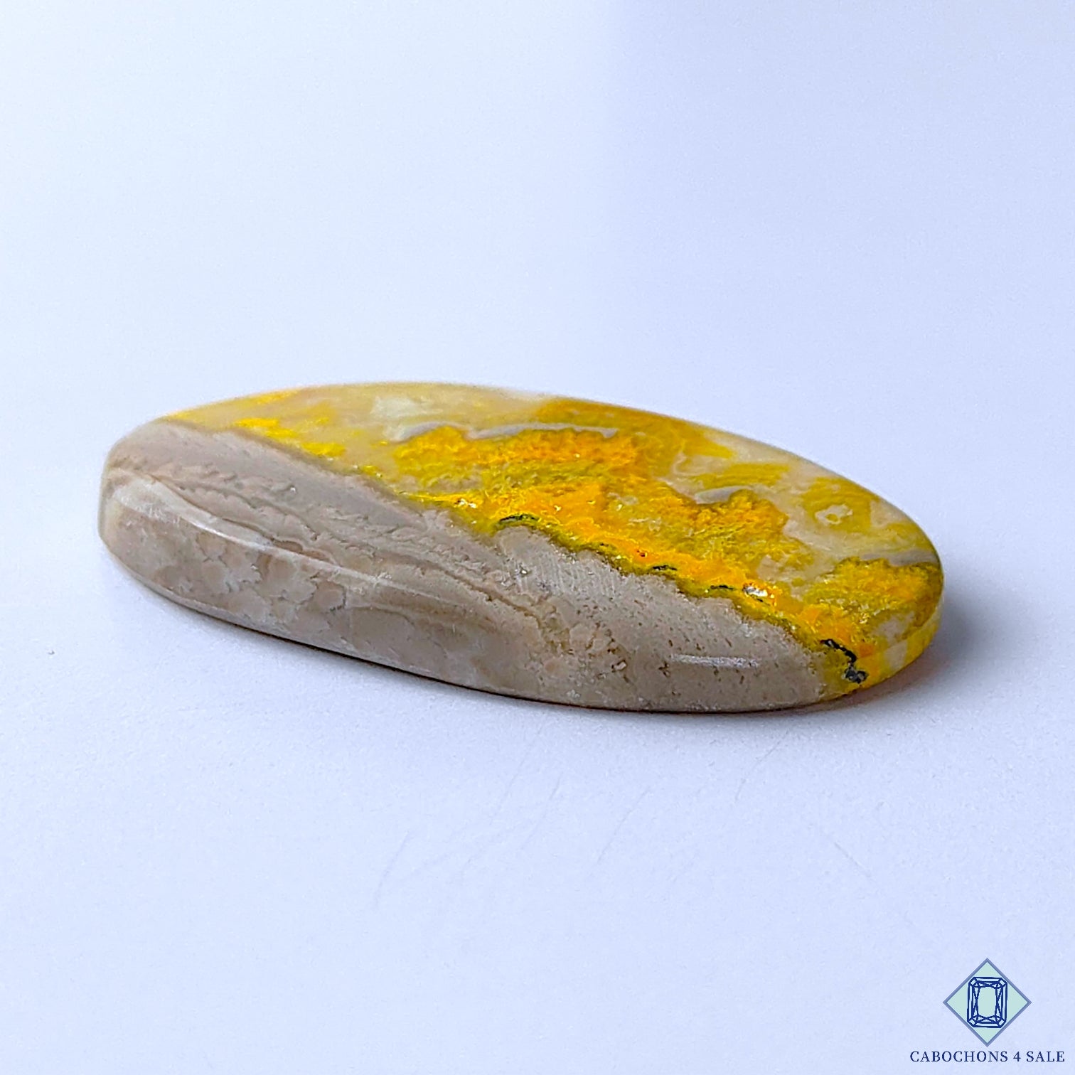 Bumble Bee Jasper