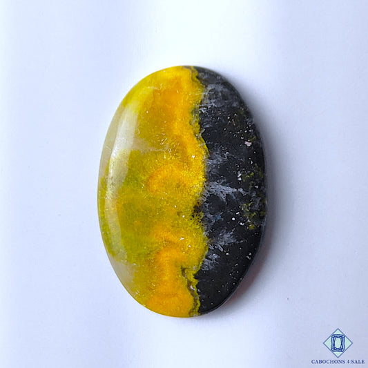 Bumble Bee Jasper