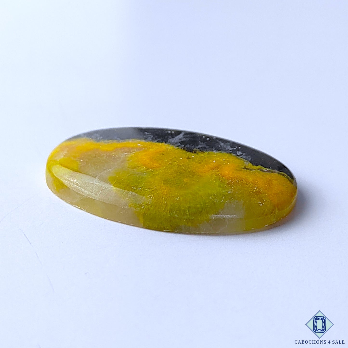 Bumble Bee Jasper