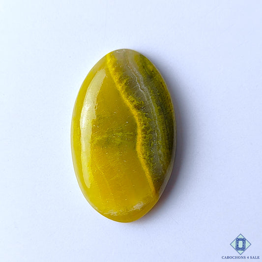 Bumble Bee Jasper