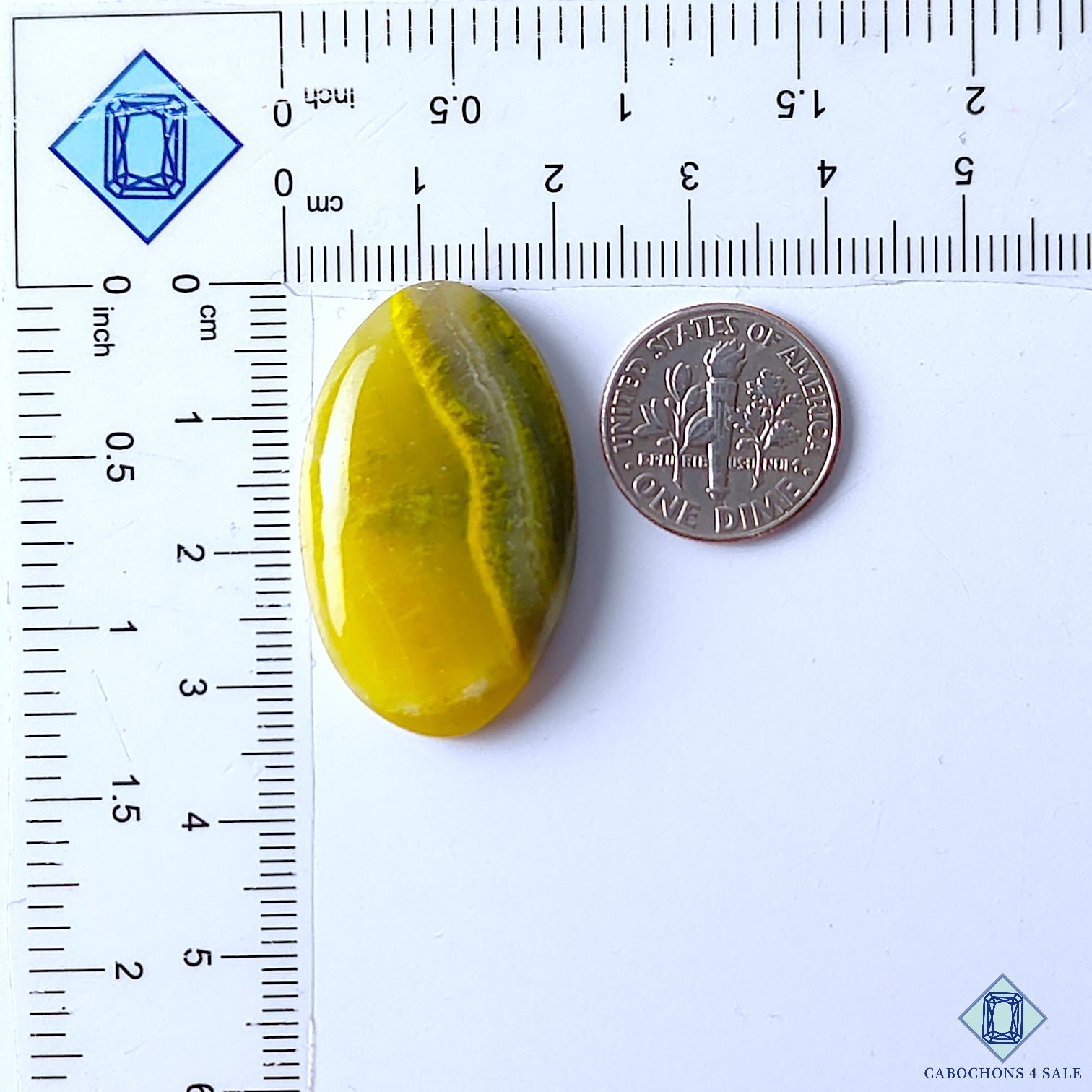 Bumble Bee Jasper