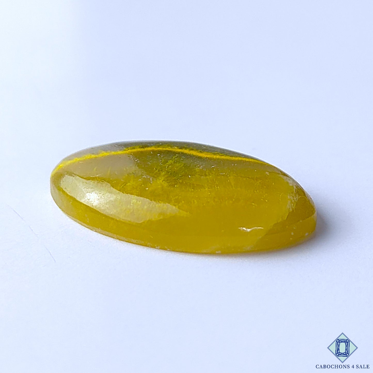 Bumble Bee Jasper