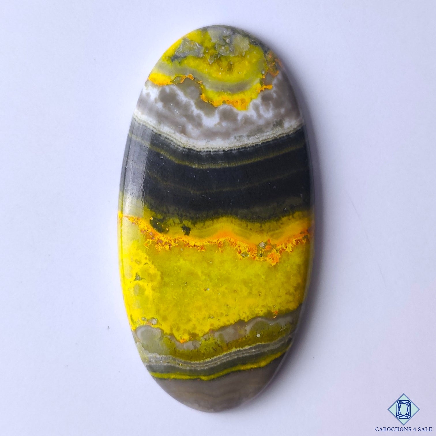 Bumble Bee Jasper