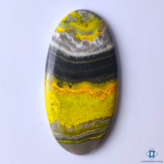 Bumble Bee Jasper
