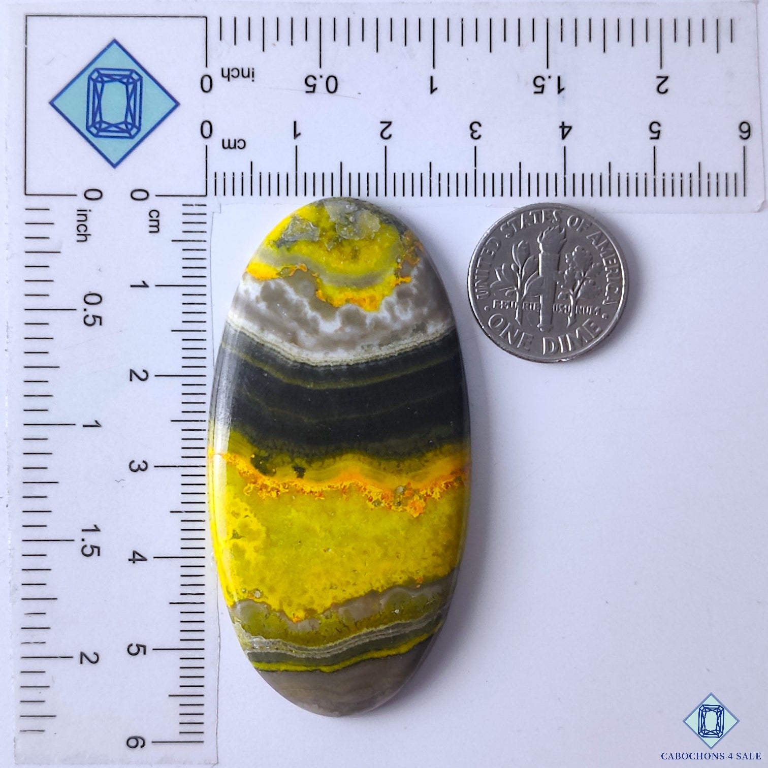 Bumble Bee Jasper
