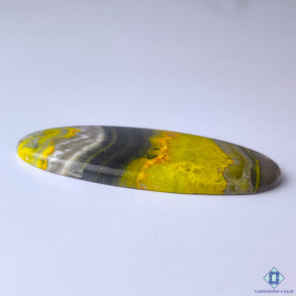 Bumble Bee Jasper