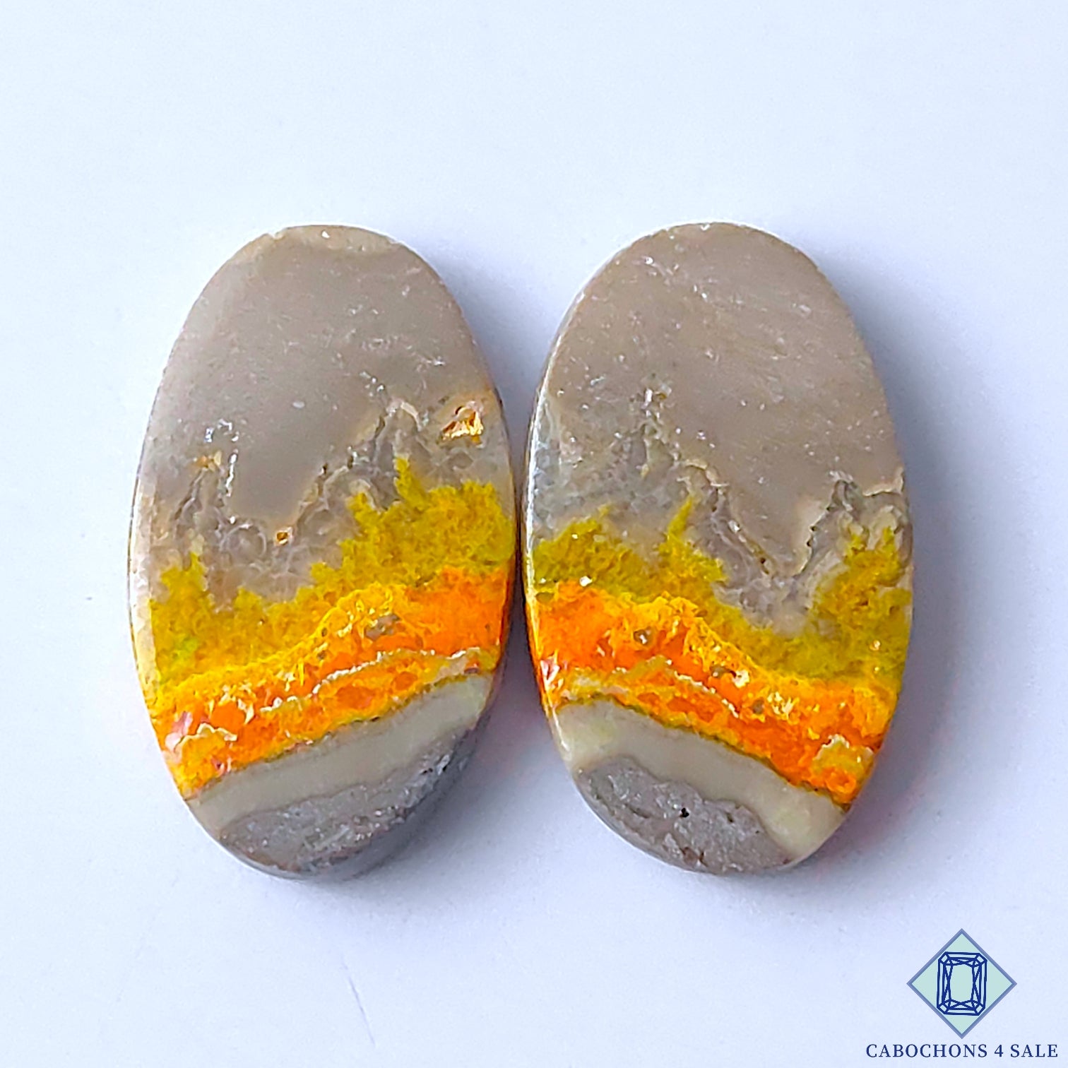 Bumble Bee Jasper