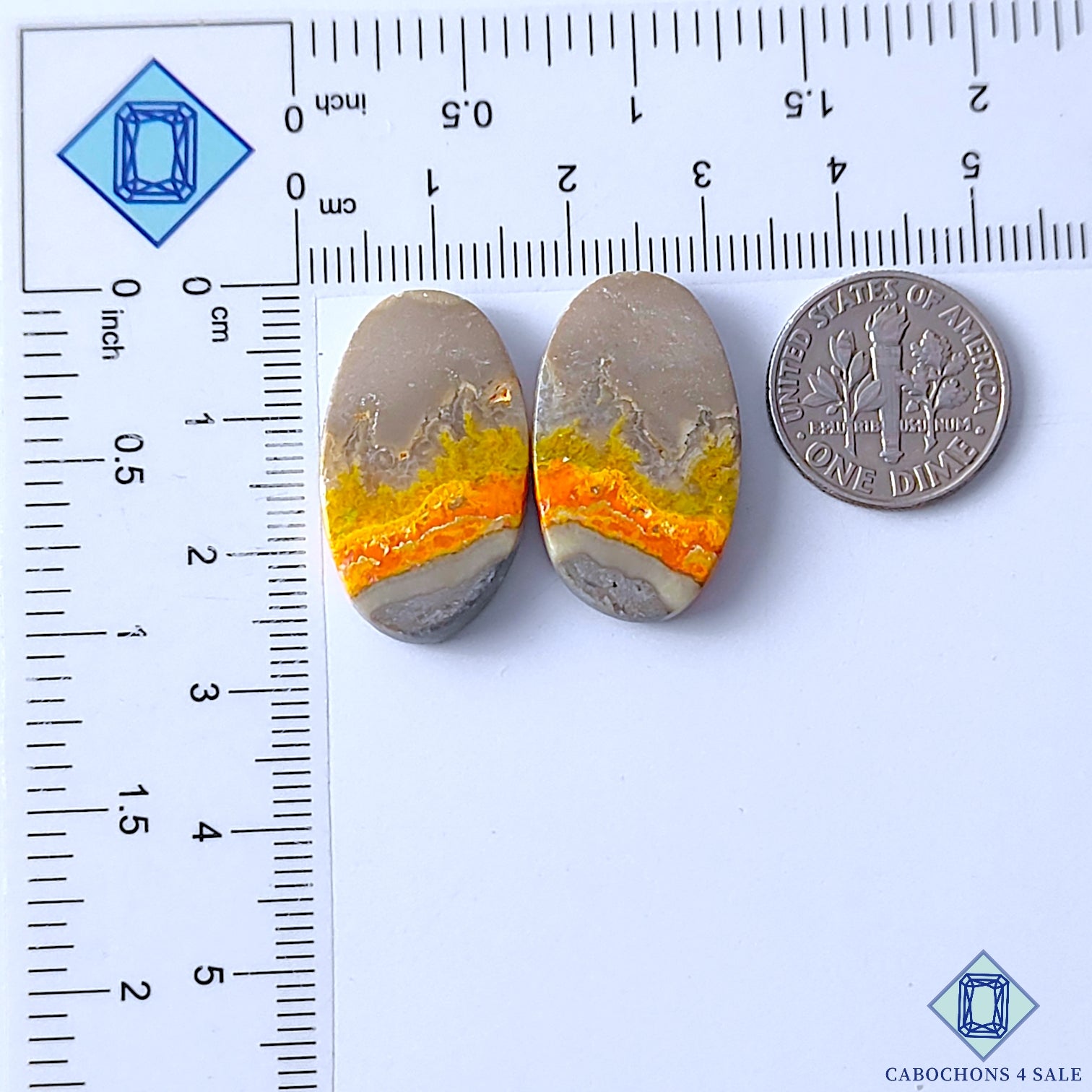 Bumble Bee Jasper