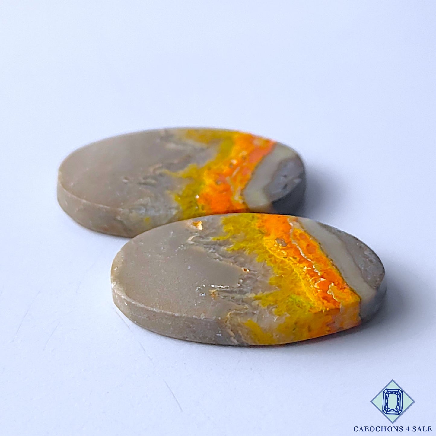 Bumble Bee Jasper