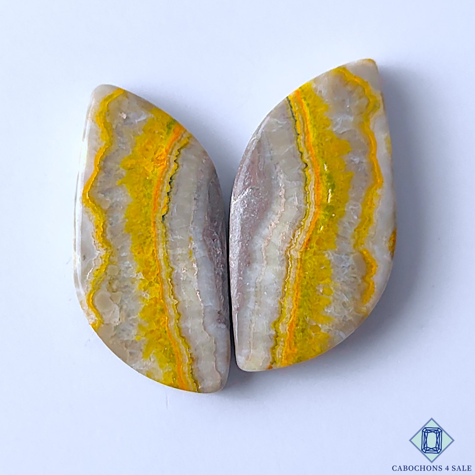 Bumble Bee Jasper