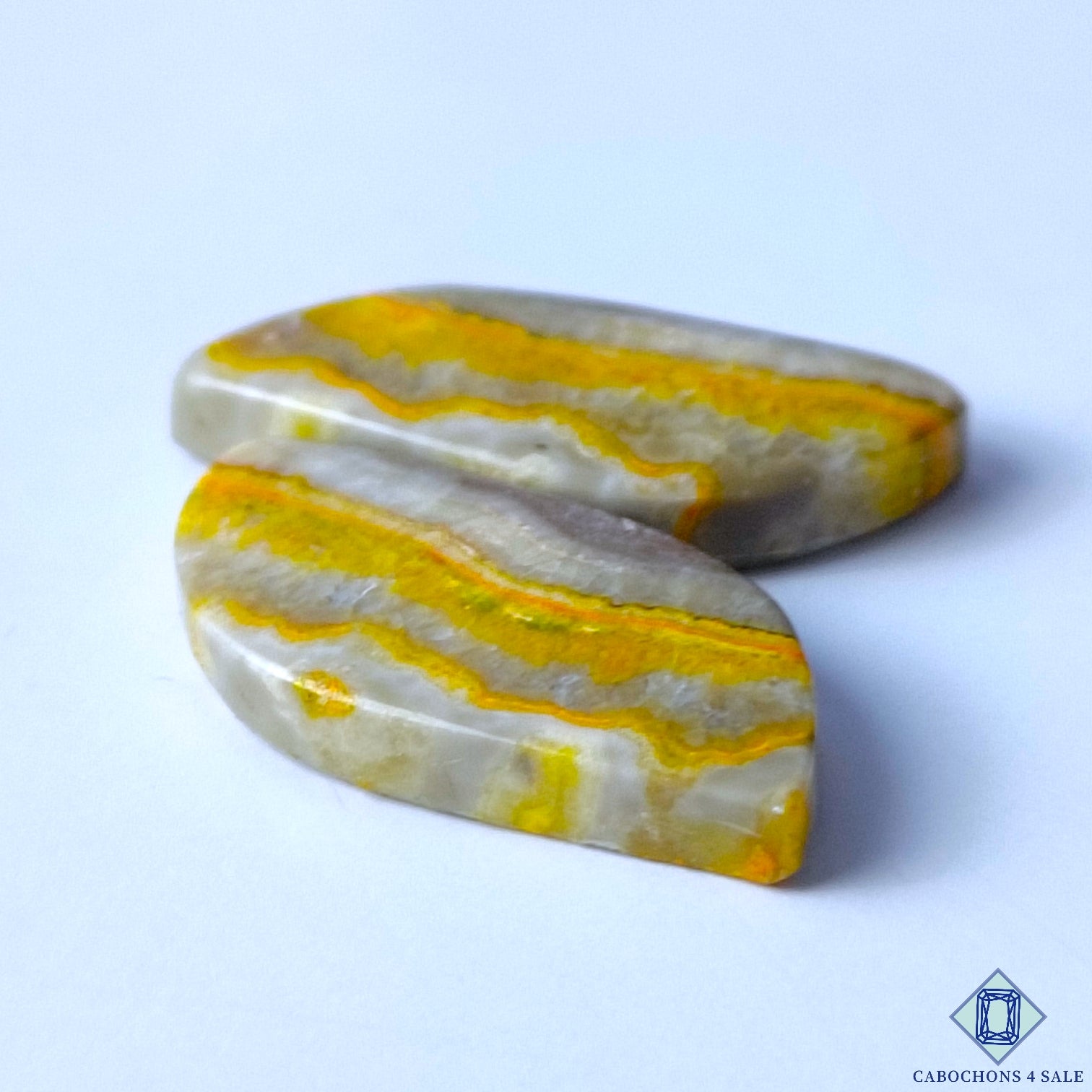 Bumble Bee Jasper