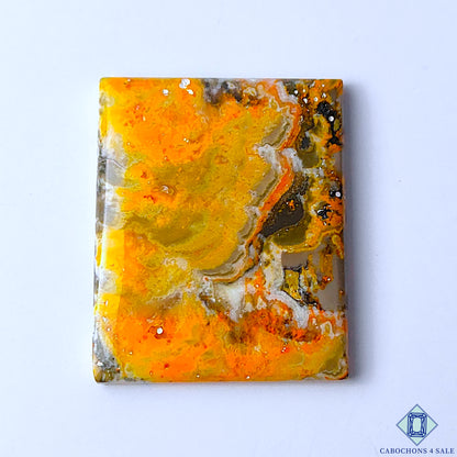 Bumble Bee Jasper