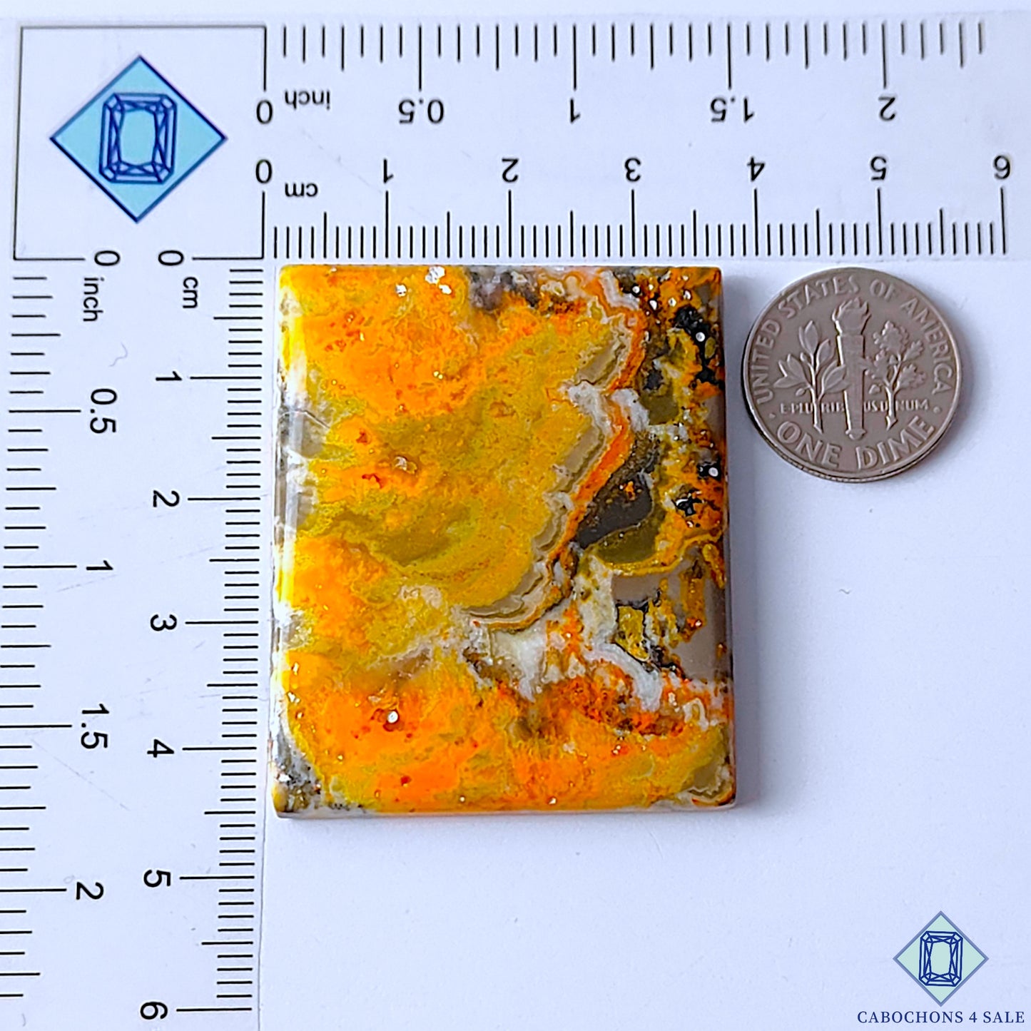 Bumble Bee Jasper