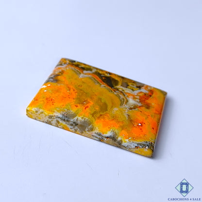 Bumble Bee Jasper