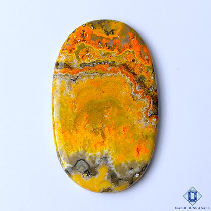 Bumble Bee Jasper