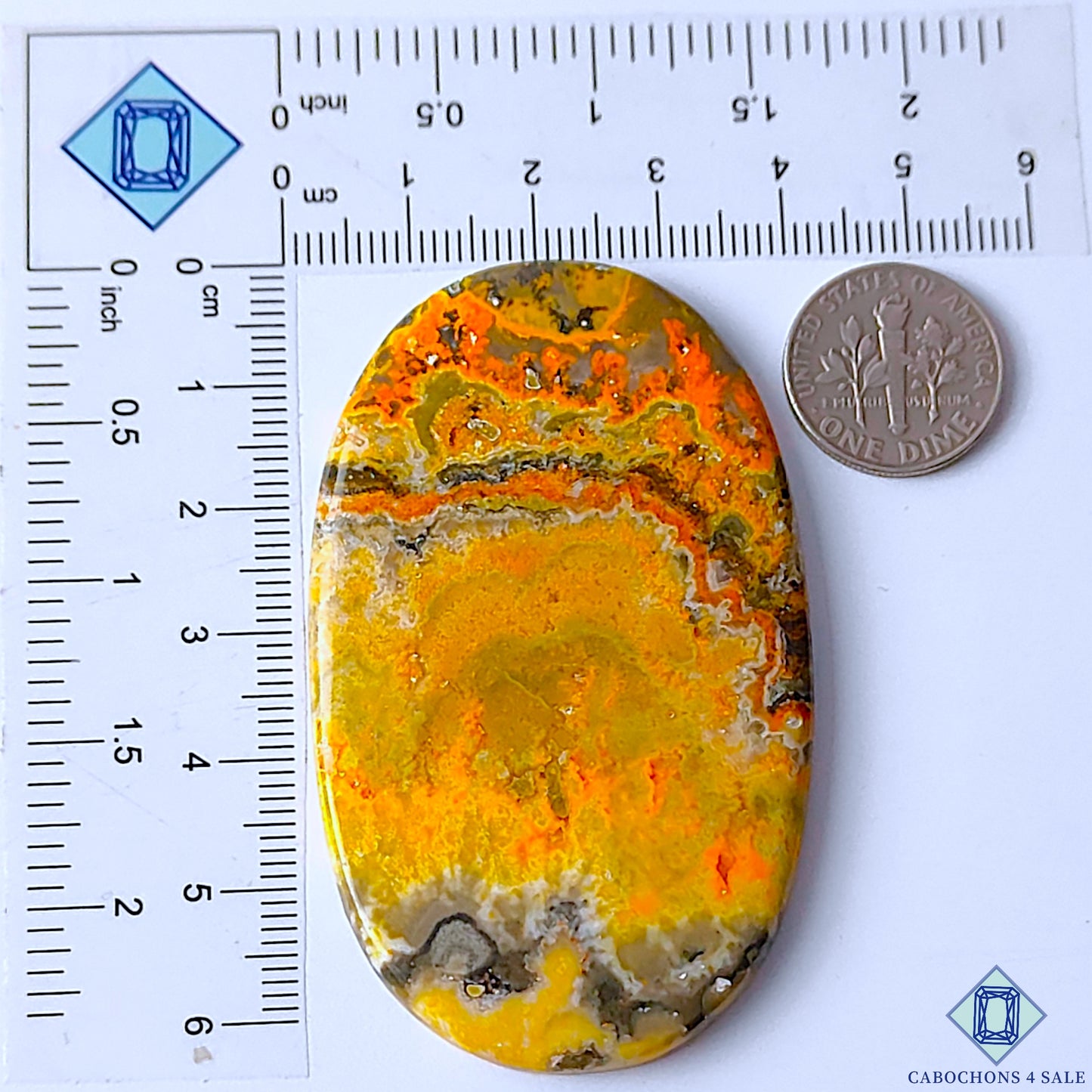 Bumble Bee Jasper