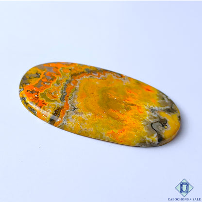 Bumble Bee Jasper