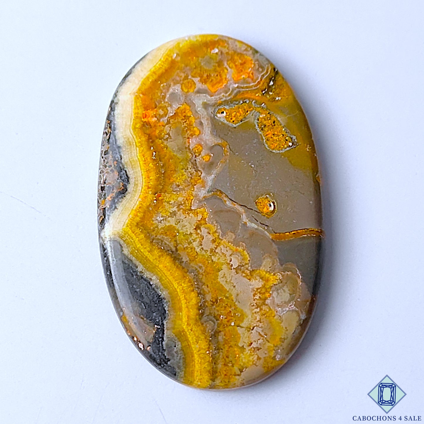 Bumble Bee Jasper