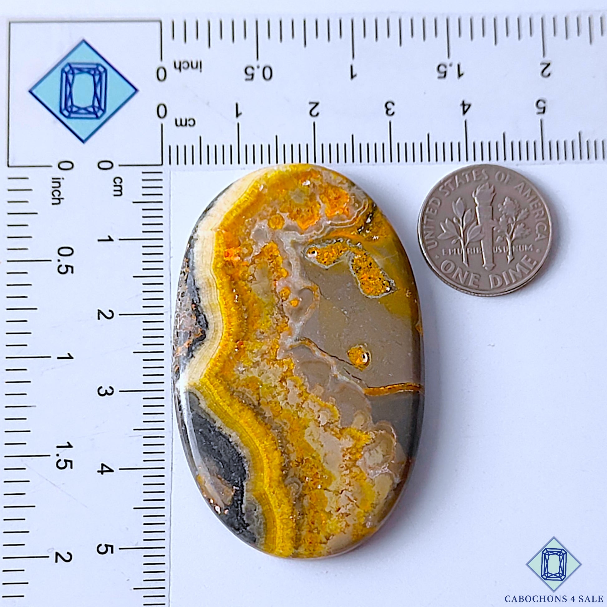 Bumble Bee Jasper