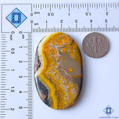 Bumble Bee Jasper