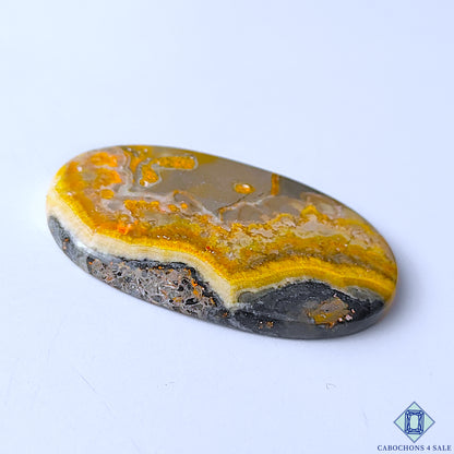 Bumble Bee Jasper