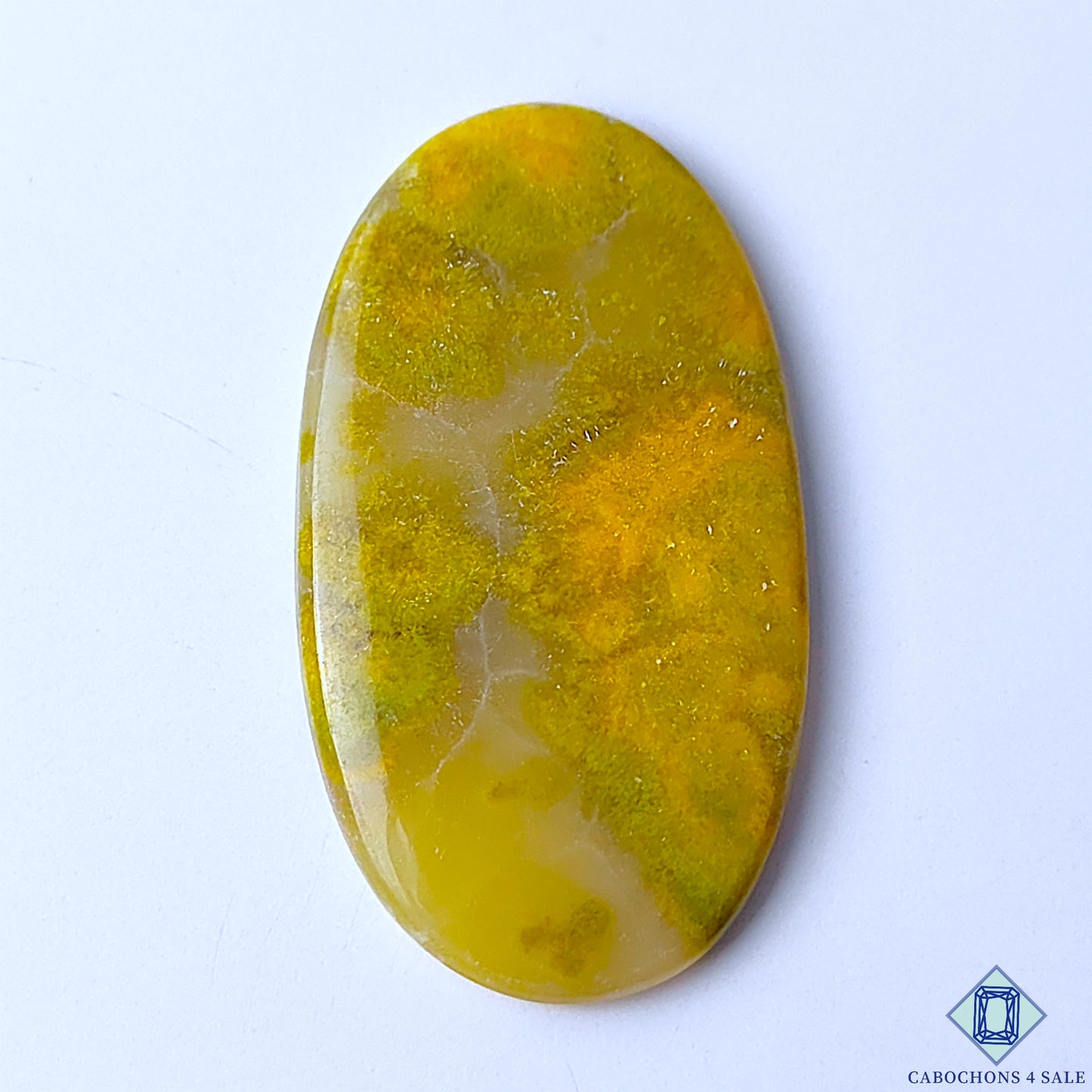 Bumble Bee Jasper