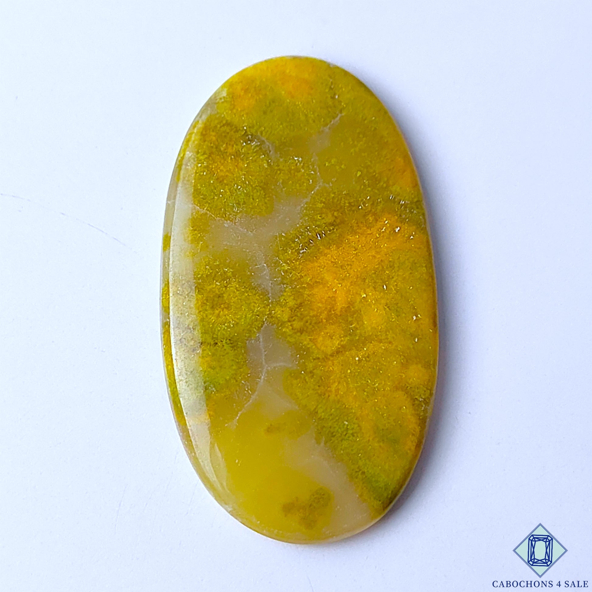 Bumble Bee Jasper