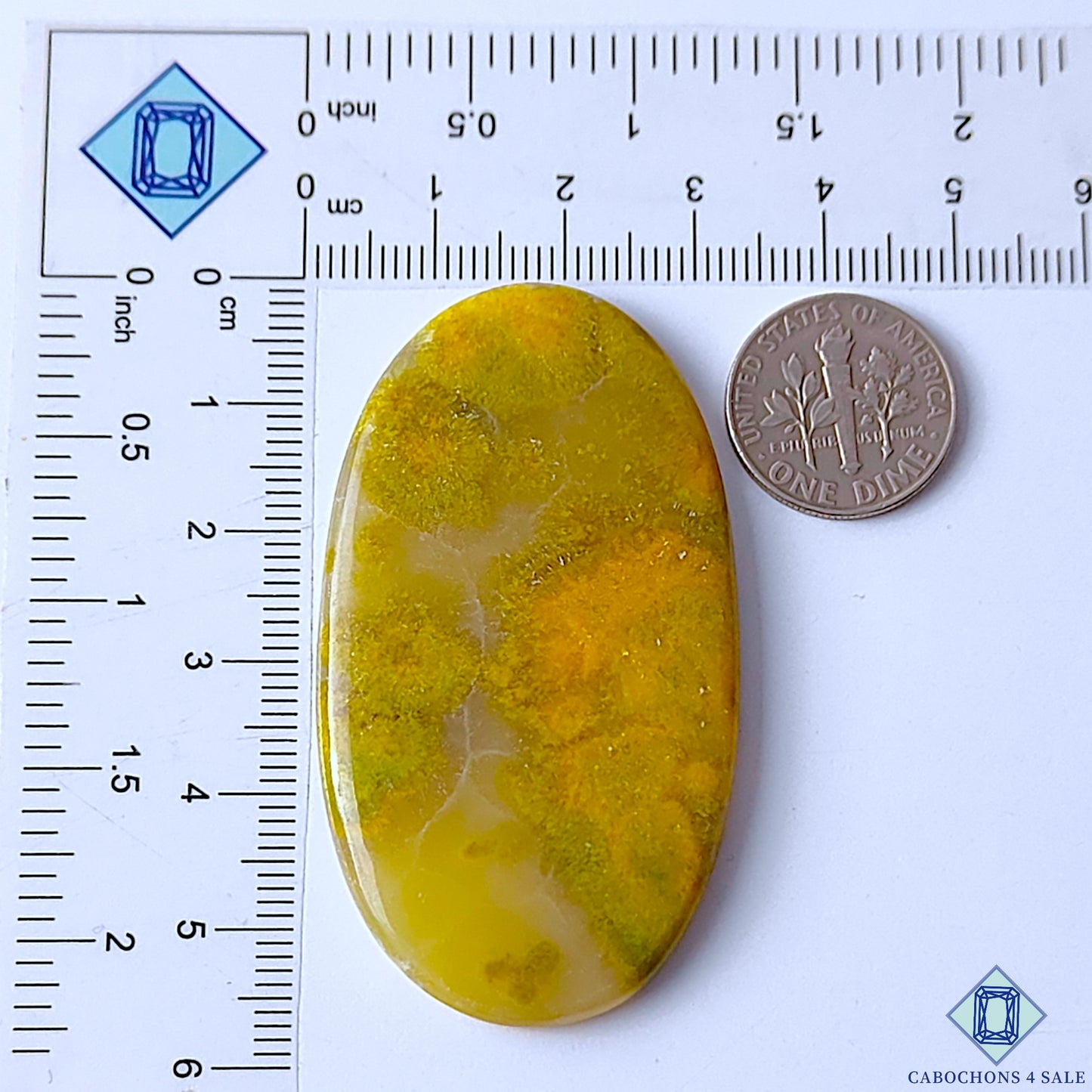 Bumble Bee Jasper