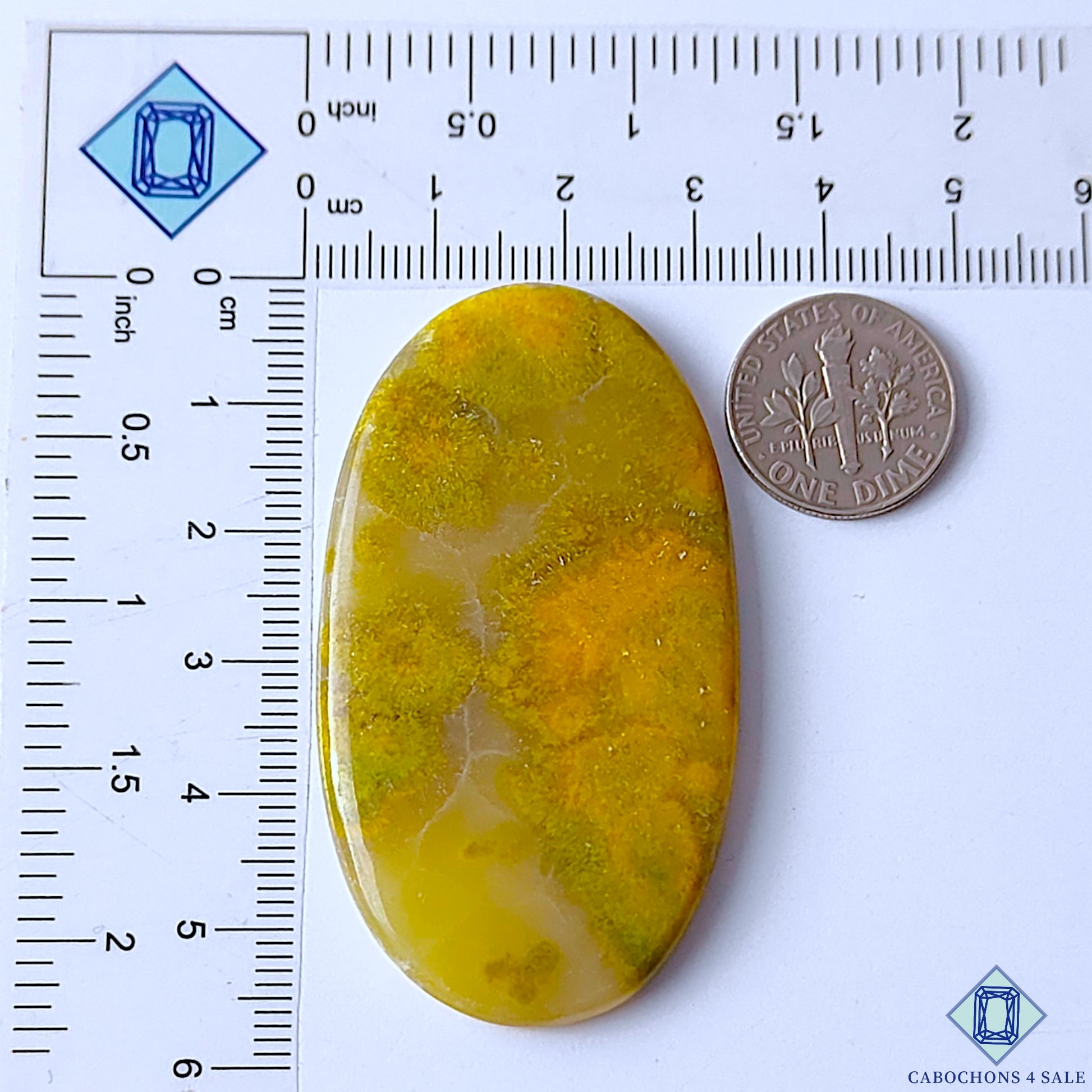 Bumble Bee Jasper