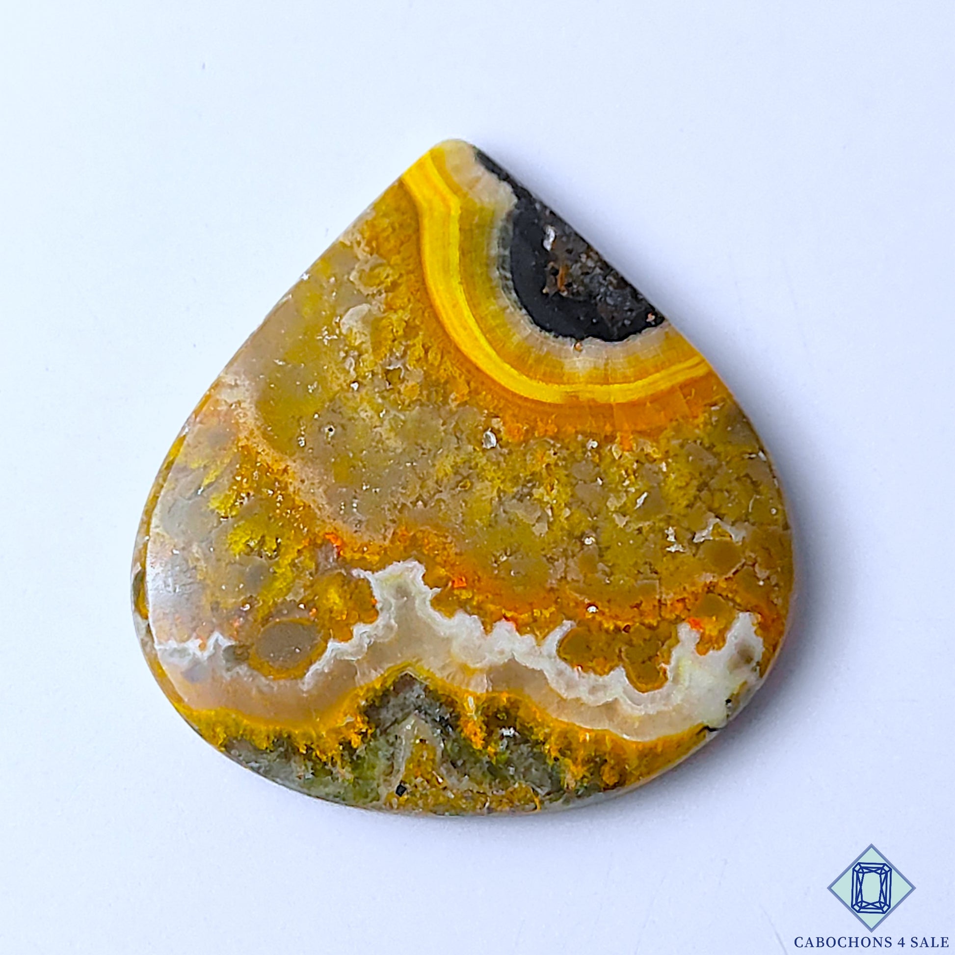 Bumble Bee Jasper