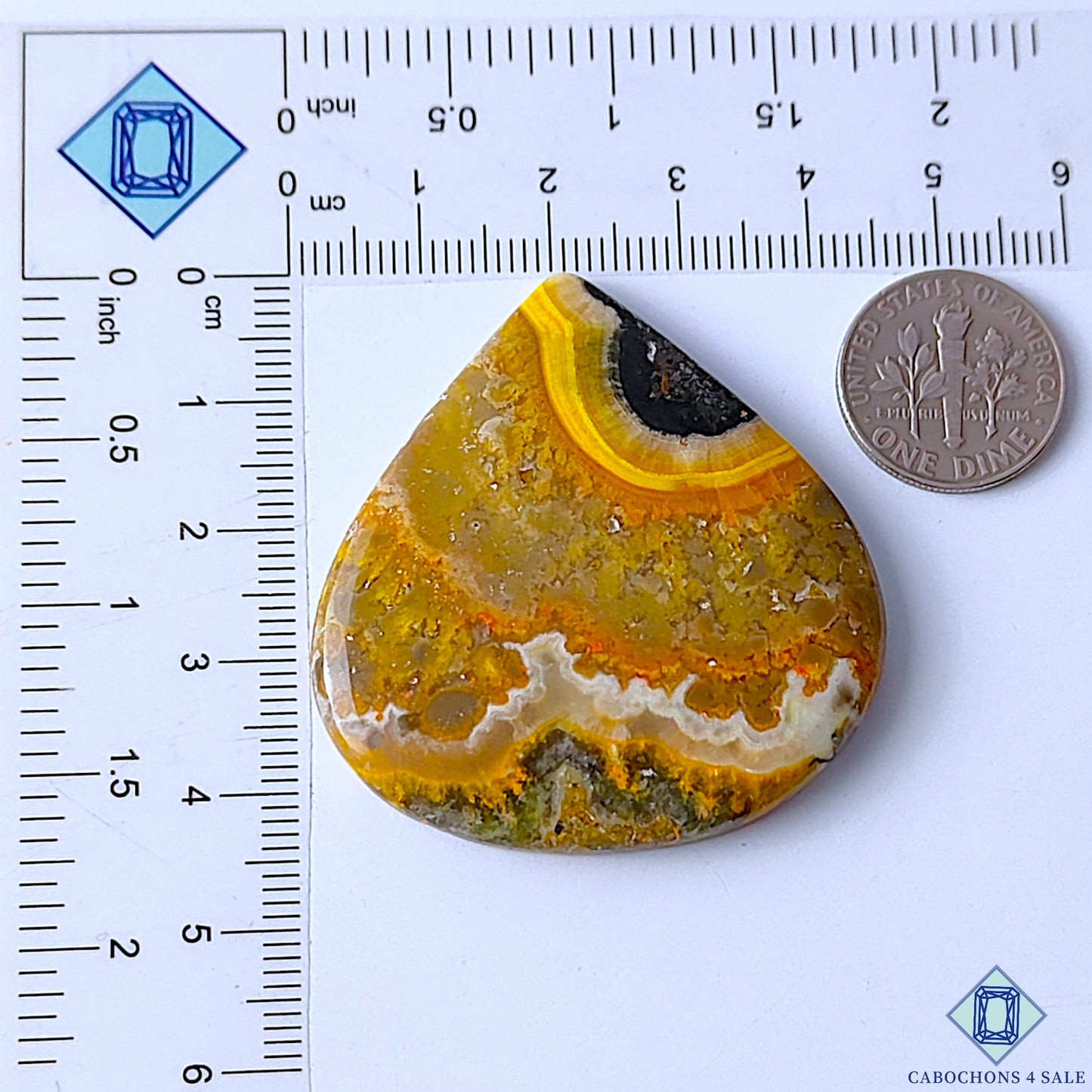 Bumble Bee Jasper