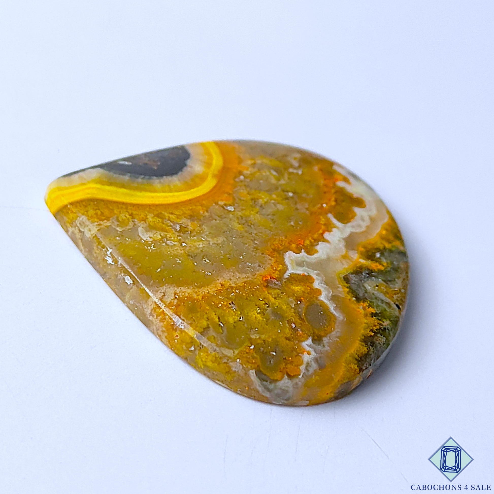 Bumble Bee Jasper