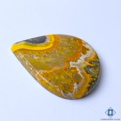 Bumble Bee Jasper