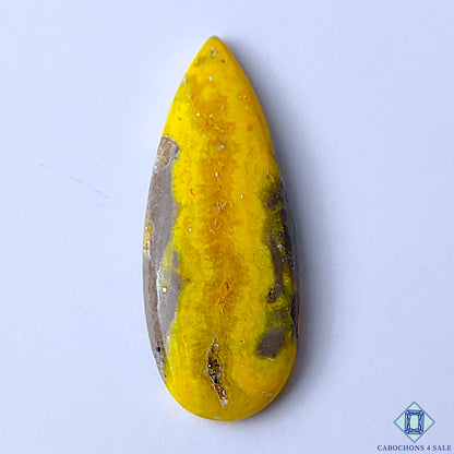 Bumble Bee Jasper