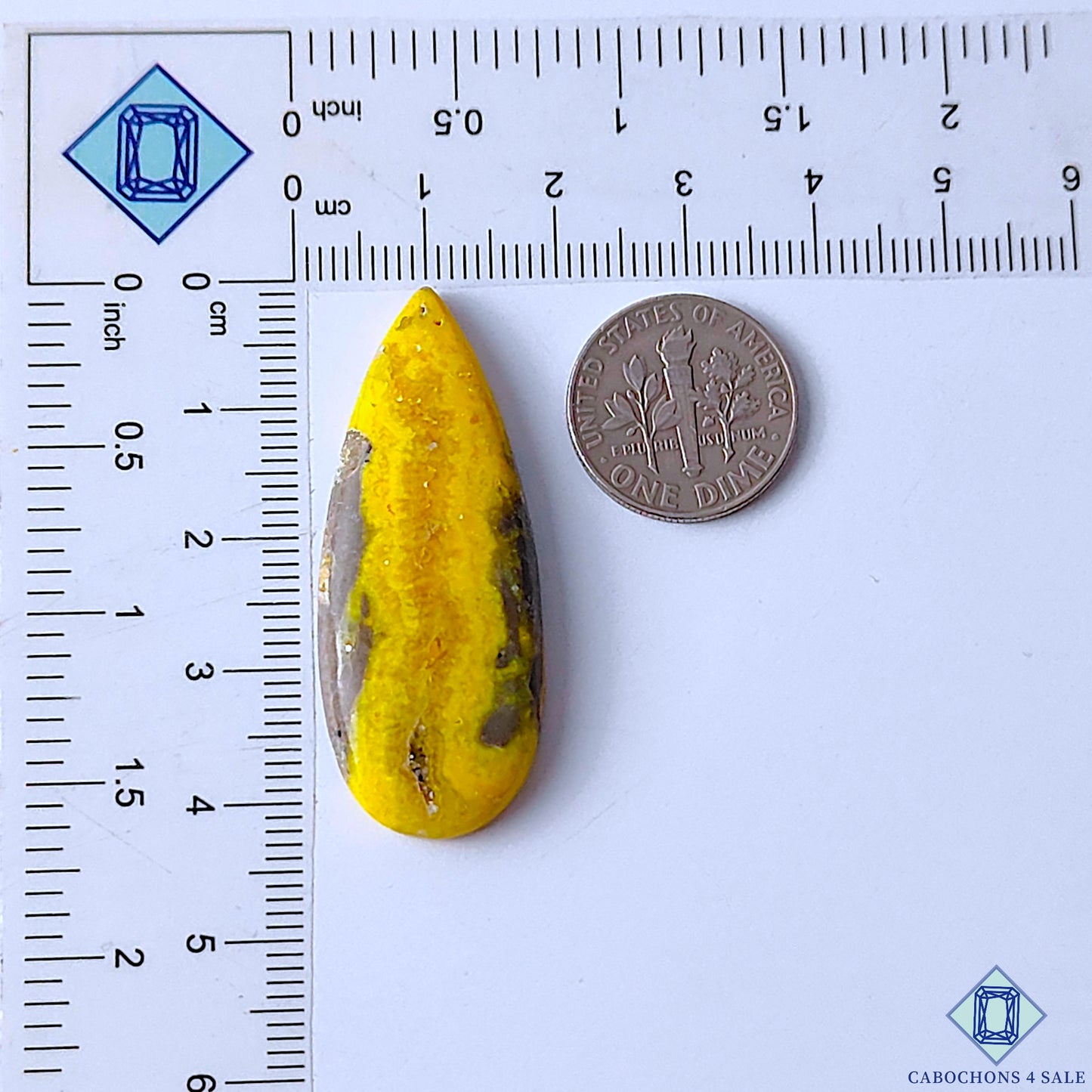 Bumble Bee Jasper