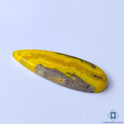 Bumble Bee Jasper
